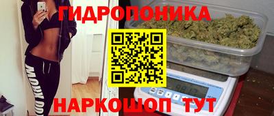индика Кумертау